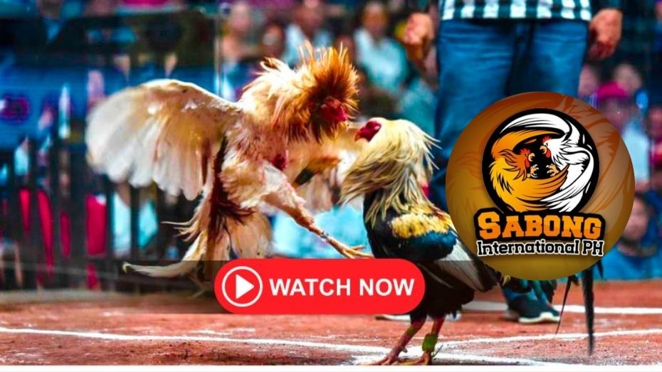 jili slot 777 real money what is a patent bet