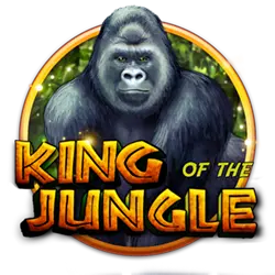 gamezone bingo plus how to read sports bet odds